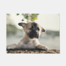 Search for german shepherd doormats Cute