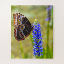 Search for butterfly puzzles Morpho