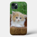 Search for blue eyed iphone cases Cat