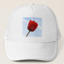 Search for tulip hats Nature