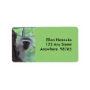 Search for monkey return address labels Wild animal