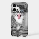 Search for funny cat picture iphone cases Kitten