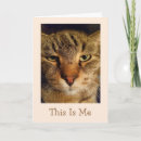 Search for pun get well cards Cat