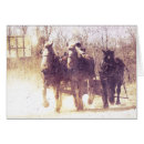 Search for belgian draft horse Photography