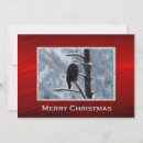 Search for eagle christmas cards Snow