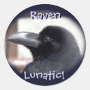 Search for blackbird stickers Raven