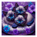 Search for cat pillow posters Feline