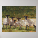 Search for sheep art posters Lamb