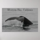 Search for fluke posters Whale