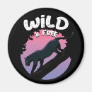 Search for black panther magnets Big cats