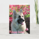 Search for happy in german easter cards Dog