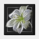 Search for white fractal magnets Fractals