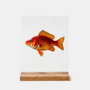 Search for red fish posters Colorful