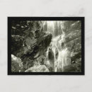 Search for monochrome photography postcards Nature