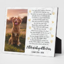 Search for quotes pet memorials Typography