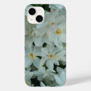 Search for spring bulbs electronics Narcissus