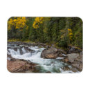 Search for 3x4 cards Autumn