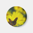 Search for pollen magnets Yellow