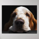 Search for his posters Hound