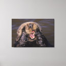 Search for sea otter canvas prints Mammal