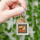 Search for formation key rings Bryce canyon national park