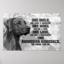Search for rhodesian posters Pet