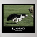 Search for herd dog posters Sheep