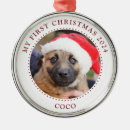 Search for hat christmas tree decorations Dog