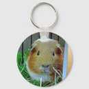 Search for guinea pig key rings Pet
