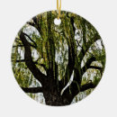 Search for willow christmas tree decorations Nature