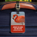 Search for aruba accessories Sea
