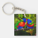 Search for colourful parrot key rings Parrots