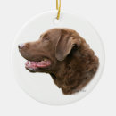 Search for duck christmas tree decorations retriever