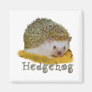 Search for critters magnets Hedgehog