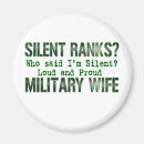 Search for silent magnets Usa