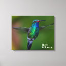 Search for bird watcher art Hummingbird