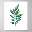 Search for botanical art posters Greenery