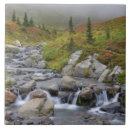 Search for national park tiles Fall