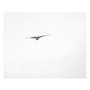 Search for seagull flying posters Beach