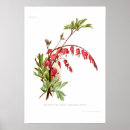 Search for bleeding posters Floral