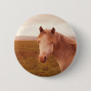 Search for horse badges Wild