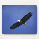 Search for soaring mouse mats Flying