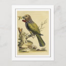 Search for fanned postcards Wildlife