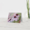 Search for daisy thank you cards Gratitude