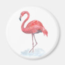 Search for bird round magnets Nature