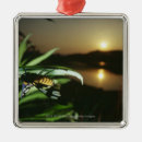 Search for grace christmas tree decorations Scene