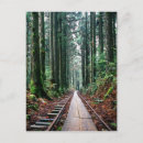 Search for yakushima postcards Forest