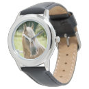 Search for foal accessories Pasture