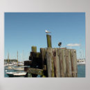 Search for marthas vineyard posters Martha's