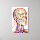 Search for neck canvas prints People